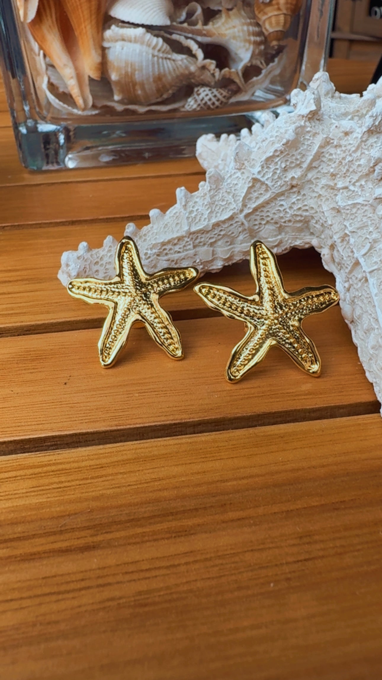 Brinco estrela elementos do mar