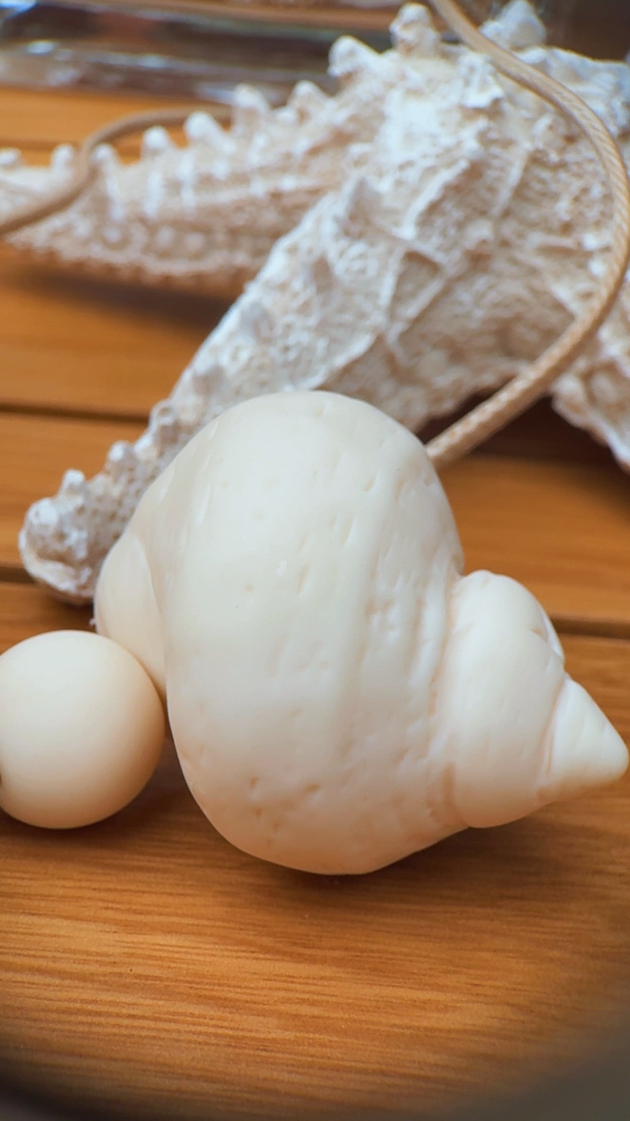 Colar trio caramujos off