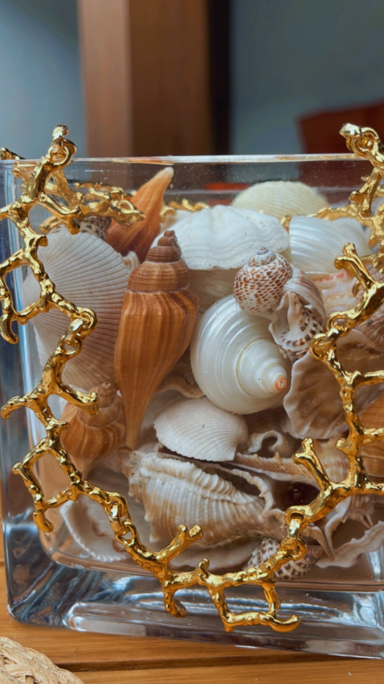 Colar atol de corais