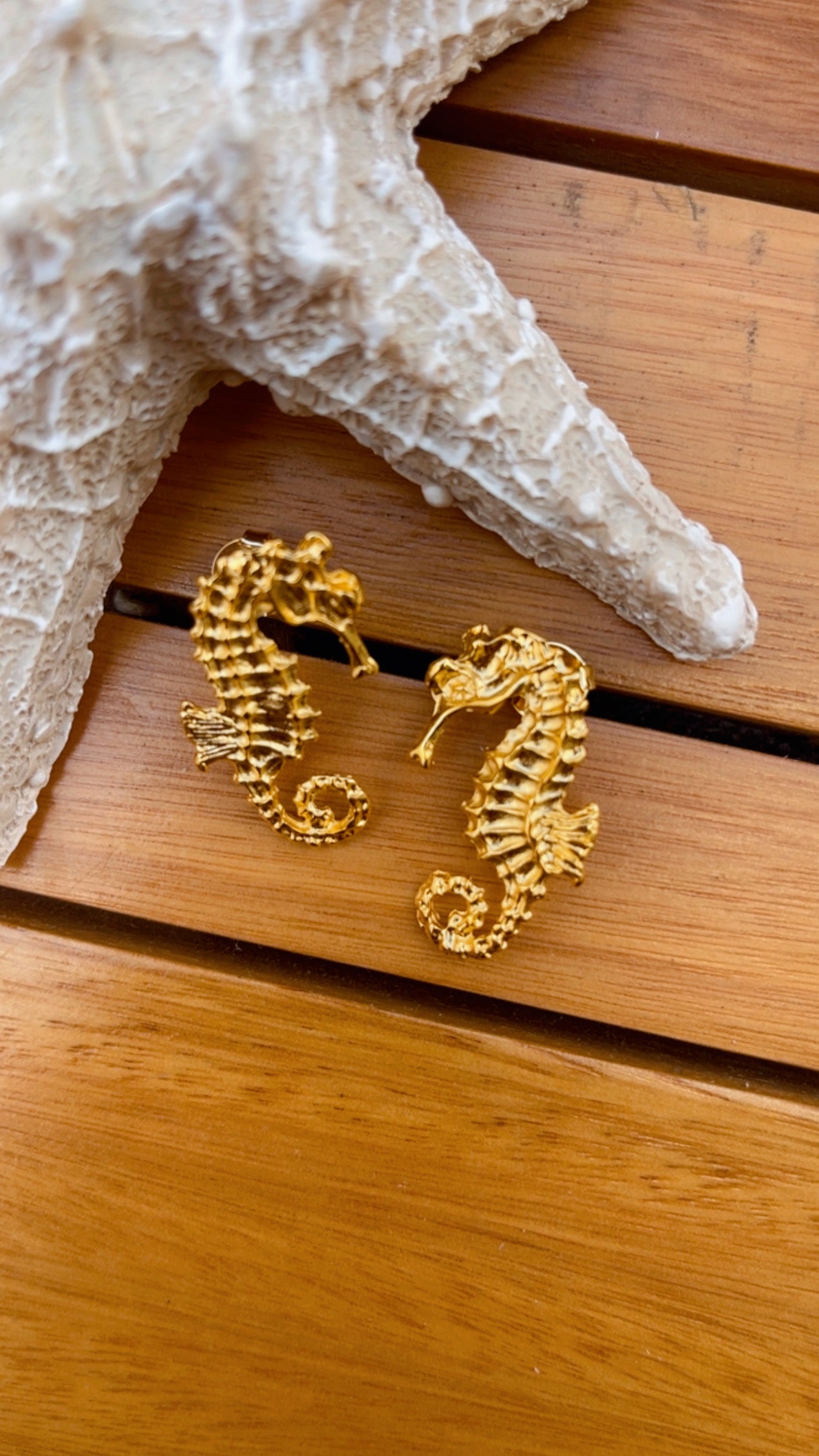 Brinco cavalo marinho médio