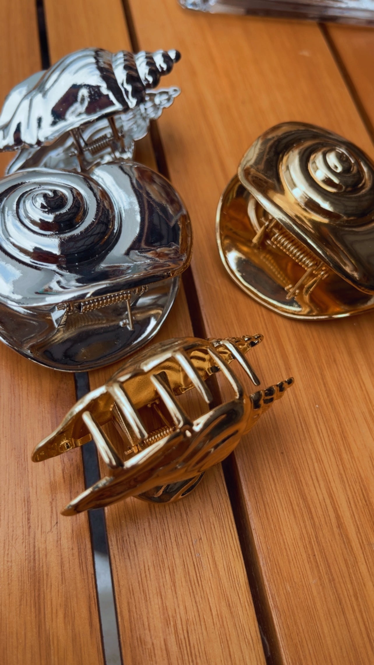 Piranha caracol espiral