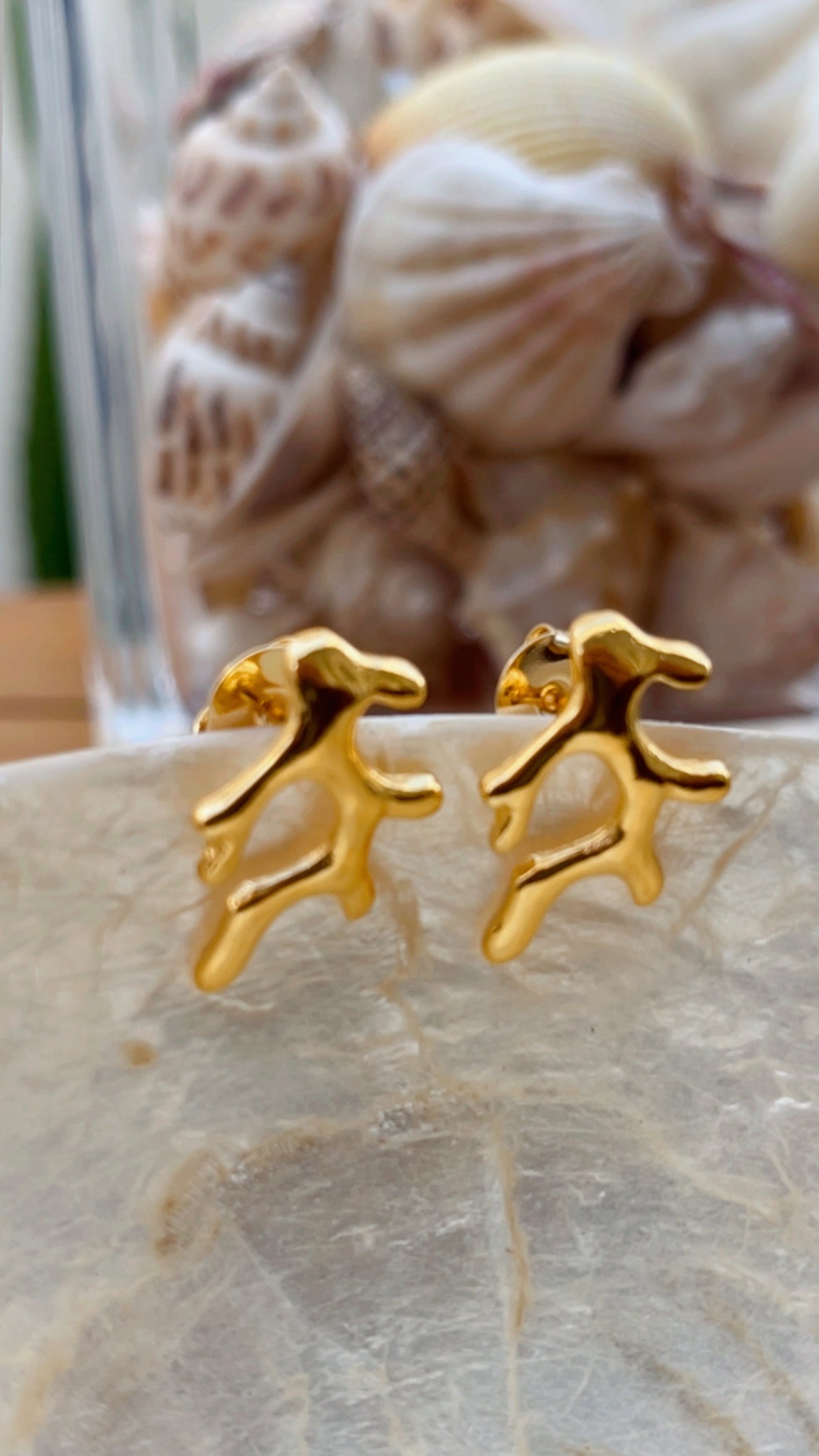 Brinco mini coral liso