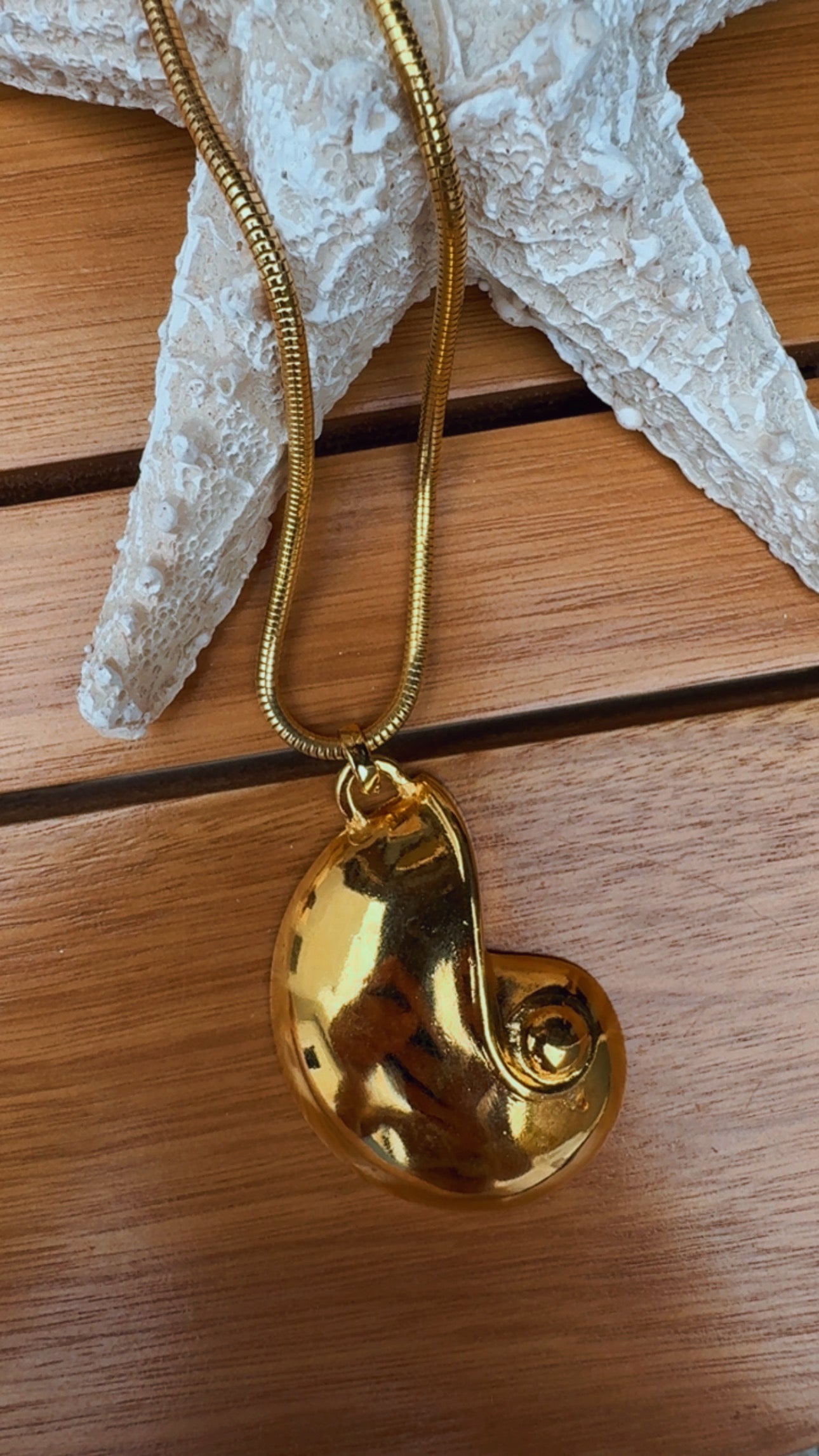 Colar caramujo real longo